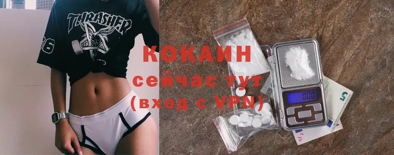 гидра ССЫЛКА  Пучеж  Cocaine FishScale 