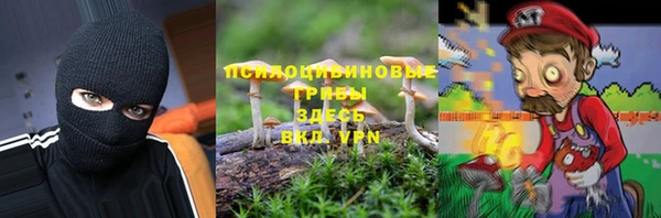 сатива Нефтекумск