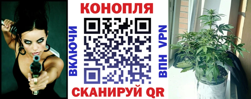 Шишки марихуана VHQ  KRAKEN ссылка  Пучеж  закладка 